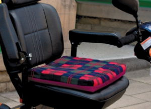 Harley Comfort Ease Cushion