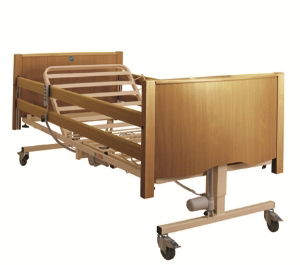 Bradshaw Nursing Care Bed