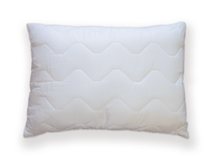 Washable Pillow